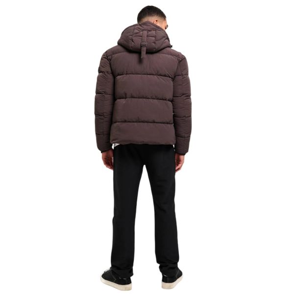 Malelions Donn Puffer Bruin