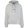 Bonsai Box Logo Classic Hoodie Grijs