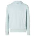 Calvin Klein Micro Logo Hoodie Licht Blauw