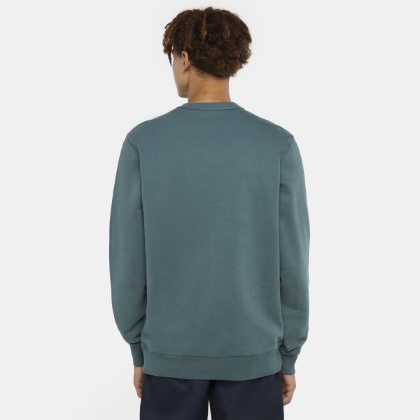 Dickies Aitkin Sweater Groen