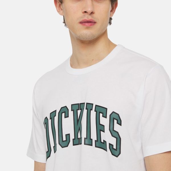 Dickies Aitkin T-shirt Wit