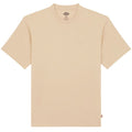 Dickies Clancy Heavyweight T-shirt Beige