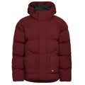 Dickies Eagleville Puffer Rood