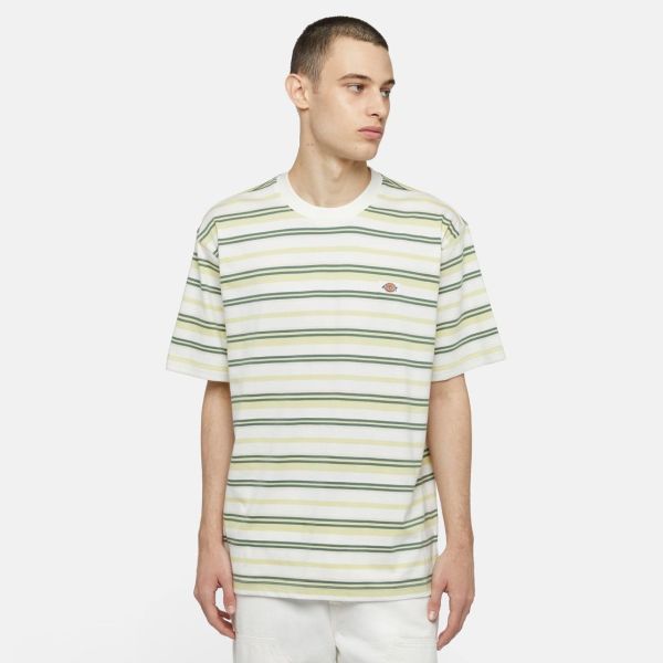 Dickies Glade Spring Stripe T-shirt Off White/Geel/Groen