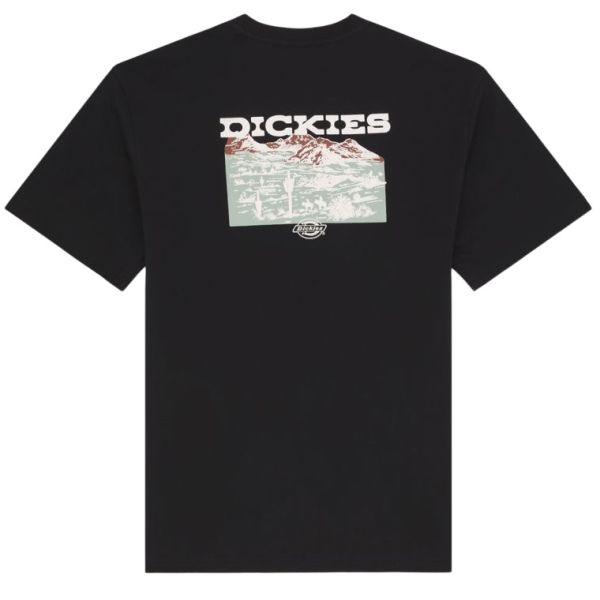 Dickies Landscape T-shirt Zwart