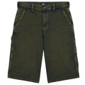 Dickies Loose Painter Korte Broek Donker Groen