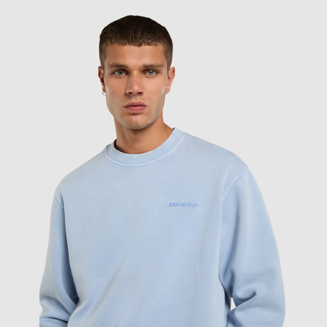 Dickies Plentywood Sweater Licht Blauw