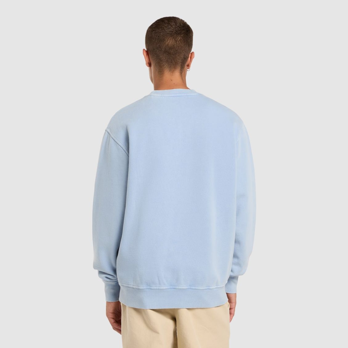 Dickies Plentywood Sweater Licht Blauw