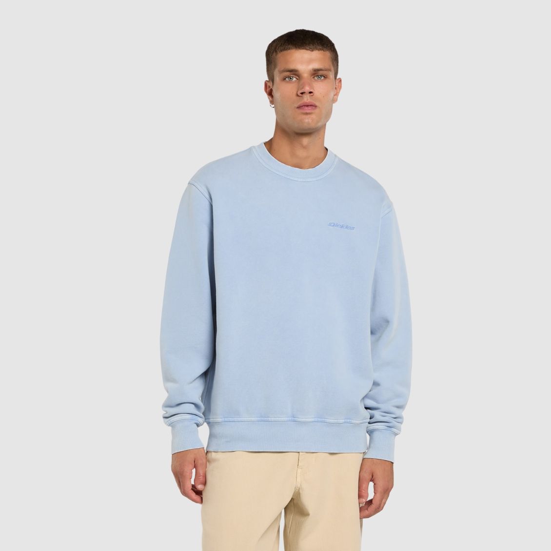 Dickies Plentywood Sweater Licht Blauw