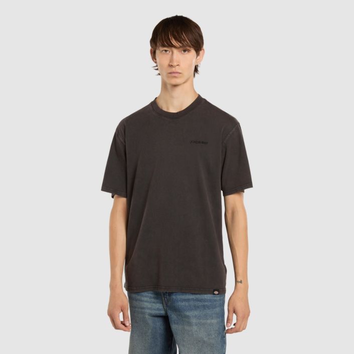 Dickies Plentywood T-shirt Zwart