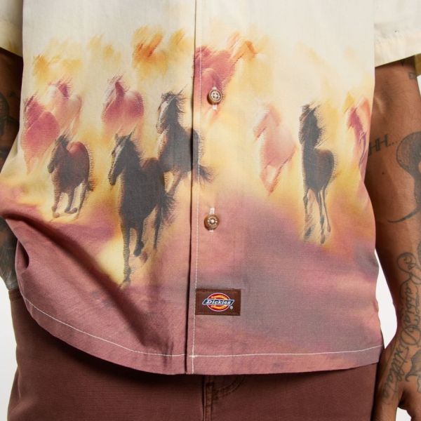 Dickies Running Wild Overhemd Grijs/Bruin