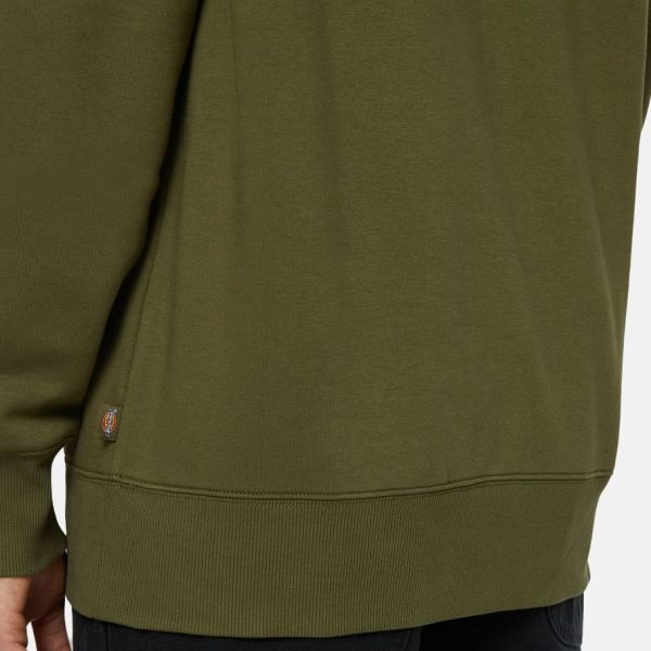 Dickies Summerdale Hoodie Donker Groen