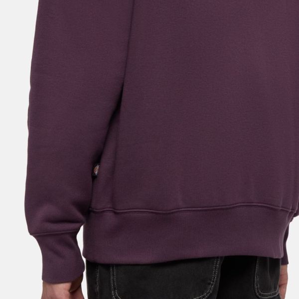 Dickies Summerdale Hoodie Paars