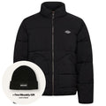 Dickies Summerdale Puffer Zwart