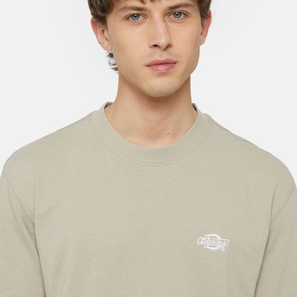 Dickies Summerdale T-shirt Beige