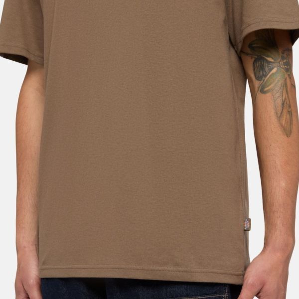 Dickies Summerdale T-shirt Bruin