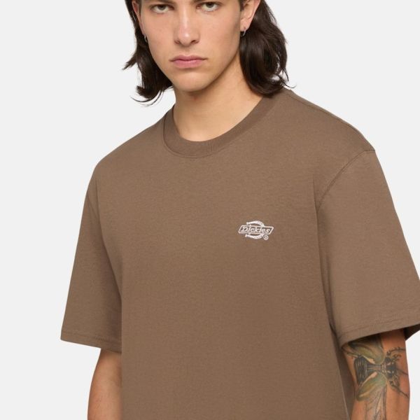 Dickies Summerdale T-shirt Bruin