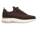 Gentiluomo Minotti Sneaker Bruin