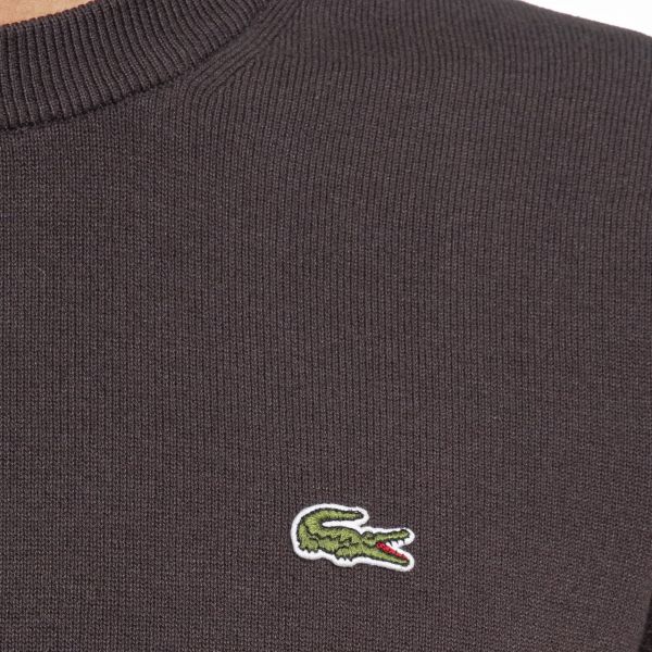 Lacoste Pullover Sweater Bruin