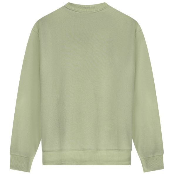 Olaf Pigment Spray Sweater Licht Groen