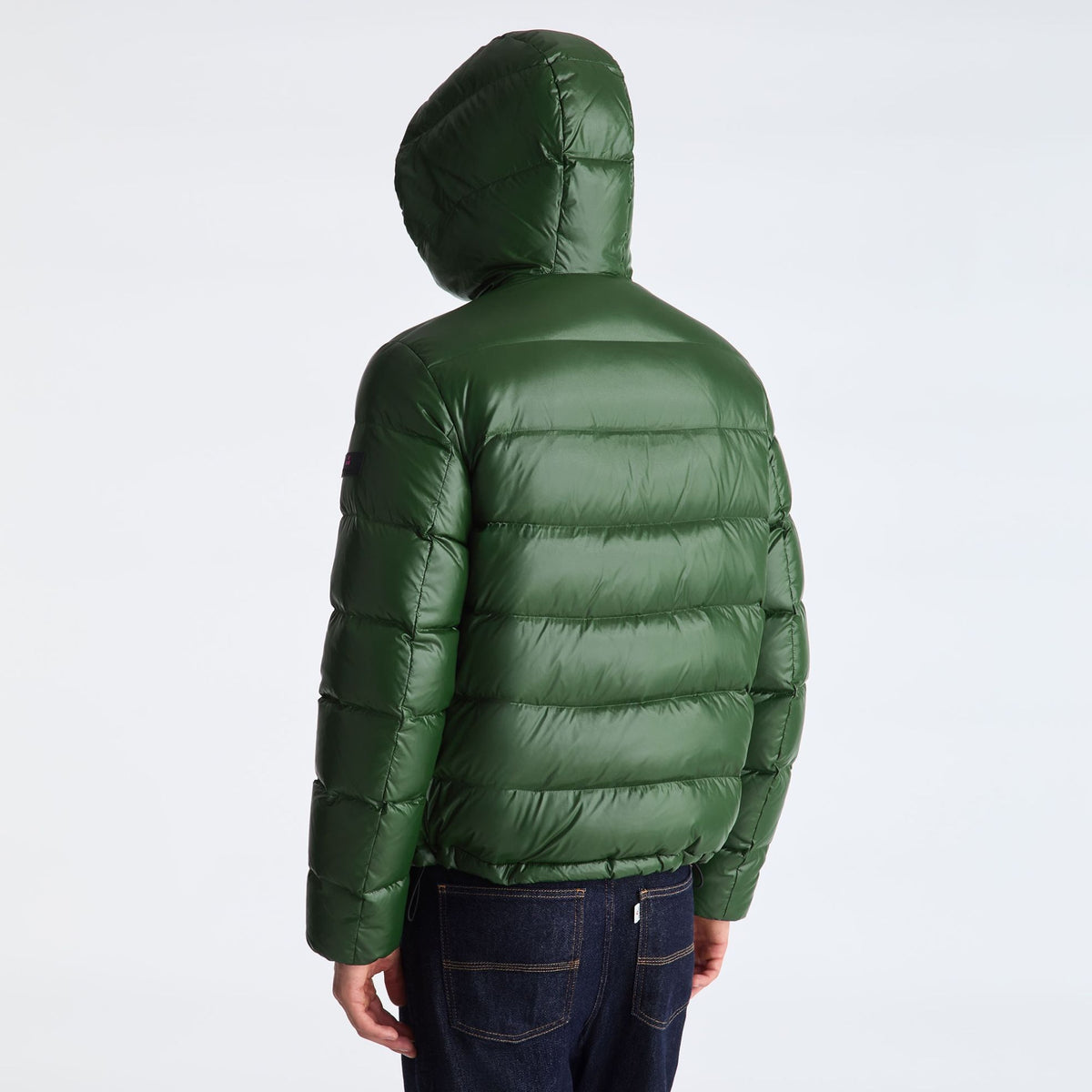 Peuterey Honova Jas Groen