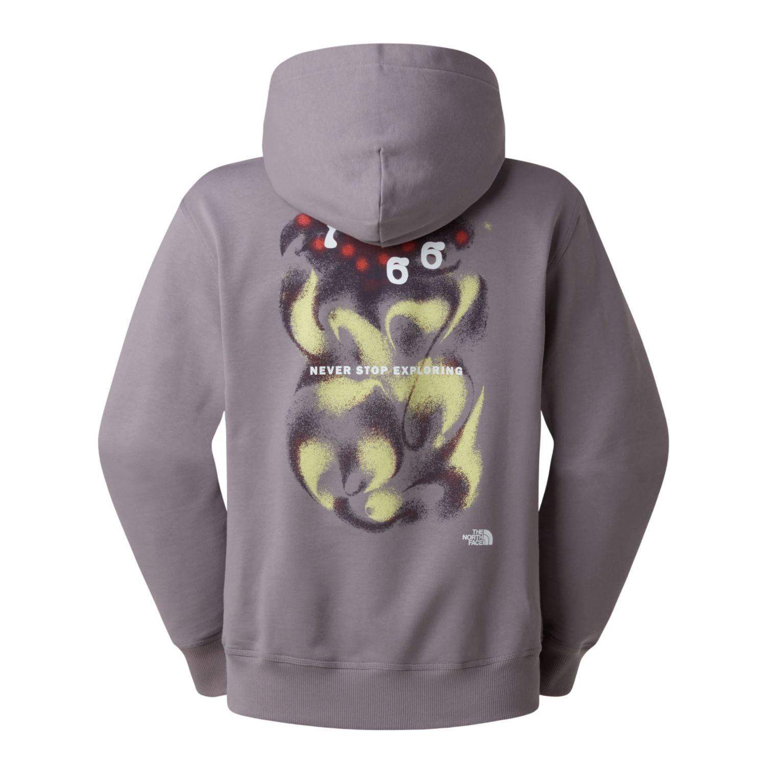 The North Face 1966 Motion Relaxed Hoodie Grijs