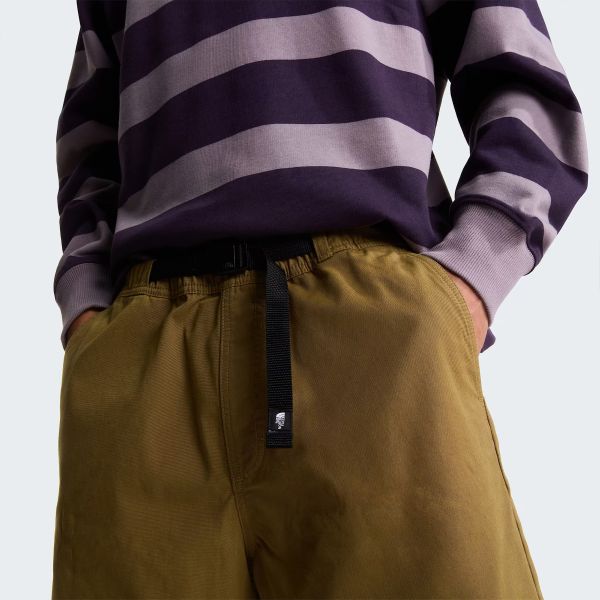 The North Face Baggy Beta Korte Broek Bruin