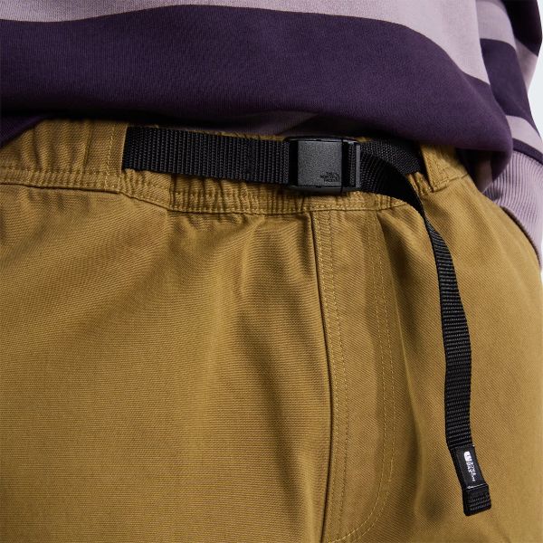 The North Face Baggy Beta Korte Broek Bruin