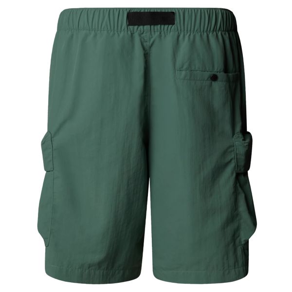 The North Face Cargo Korte Broek Groen