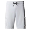 The North Face Icons Korte Broek Grijs
