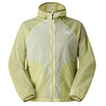 The North Face NSE Wind Jas Licht Groen